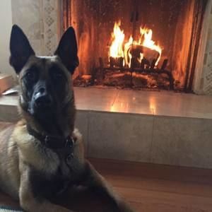 Meet your Posher, Catherine